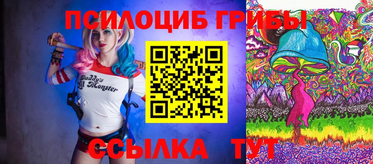 Псилоцибиновые грибы Psilocybine cubensis  Вход с VPN  Муром 